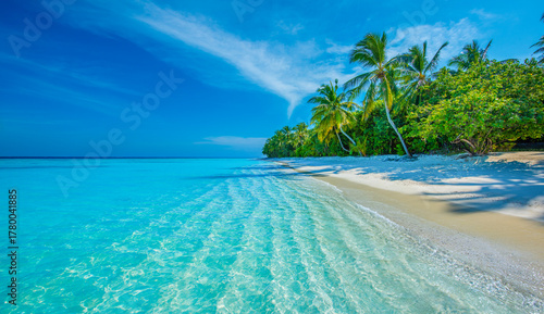 Fototapeta Naklejka Na Ścianę i Meble -  Tranquil closeup calm sea water waves with palm trees. Beautiful Panorama. Tropical island beach landscape exotic shore coast. Summer vacation, holiday amazing nature. Relax paradise, Maldives.