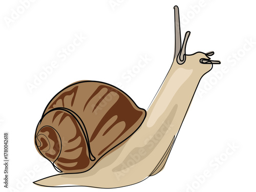 Snail in continuous line drawing