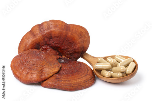 Lingzhi mushroom. lingzhi mushroom powder capsules in wooden spoons. isolated on white background.