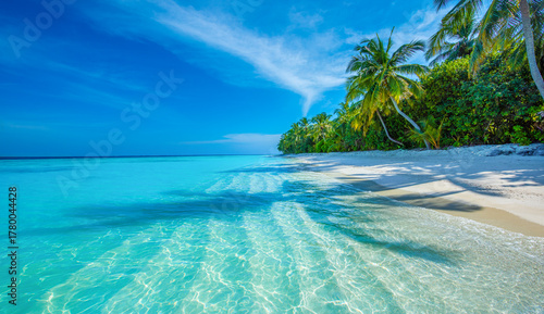 Fototapeta Naklejka Na Ścianę i Meble -  Tropical island beach landscape exotic shore coast. Tranquil closeup calm sea water waves with palm trees. Beautiful Panorama. Summer vacation, holiday amazing nature. Relax paradise, Maldives.