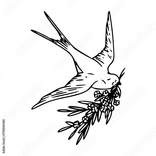 flying swallow with berries/flowers line art - spring and freedom vector