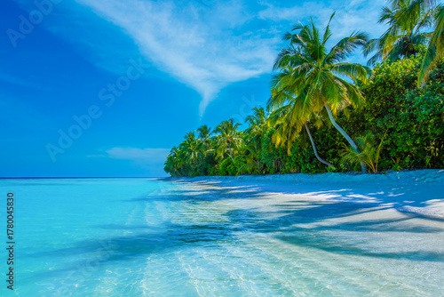 Fototapeta Naklejka Na Ścianę i Meble -  Tropical island beach landscape exotic shore coast. Tranquil closeup calm sea water waves with palm trees. Beautiful Panorama. Summer vacation, holiday amazing nature. Relax paradise, Maldives.