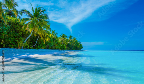 Fototapeta Naklejka Na Ścianę i Meble -  Tropical island beach landscape exotic shore coast. Tranquil closeup calm sea water waves with palm trees. Beautiful Panorama. Summer vacation, holiday amazing nature. Relax paradise, Maldives.