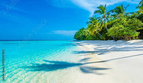 Fototapeta Naklejka Na Ścianę i Meble -  Tropical island beach landscape exotic shore coast. Tranquil closeup calm sea water waves with palm trees. Beautiful Panorama. Summer vacation, holiday amazing nature. Relax paradise, Maldives.