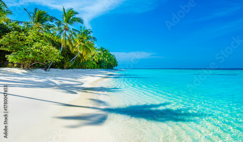 Fototapeta Naklejka Na Ścianę i Meble -  Tranquil closeup calm sea water waves with palm trees. Tropical island beach landscape exotic shore coast. Summer vacation, holiday amazing nature, Maldives.