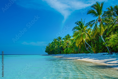 Fototapeta Naklejka Na Ścianę i Meble -  Tranquil closeup calm sea water waves with palm trees. Tropical island beach landscape exotic shore coast. Summer vacation, holiday amazing nature, Maldives.