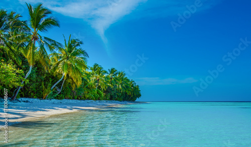 Fototapeta Naklejka Na Ścianę i Meble -  Tranquil closeup calm sea water waves with palm trees. Tropical island beach landscape exotic shore coast. Summer vacation, holiday amazing nature, Maldives.
