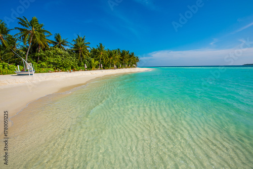 Fototapeta Naklejka Na Ścianę i Meble -  Tranquil closeup calm sea water waves with palm trees. Beautiful panorama view. Tropical island beach landscape exotic shore coast. Summer vacation, holiday amazing nature, Maldives.