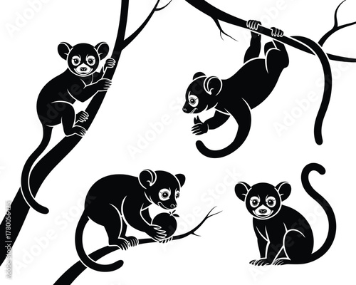 Four black lemurs on tree branches monkey primate