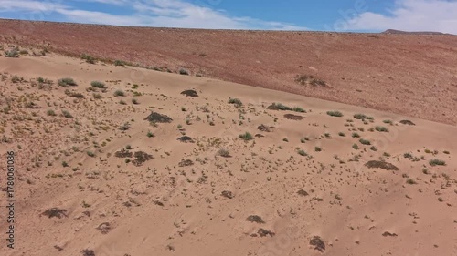 In one of the driest places on earth, the Atacama Desert, a flower blanket occurs every time the right amount of rainfall and temperature come together to awaken long-dormant seeds. 