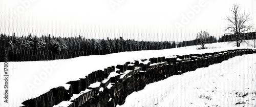 Vector illustration of a cold winter landscape with snow, frozen trees, and blue mountains.