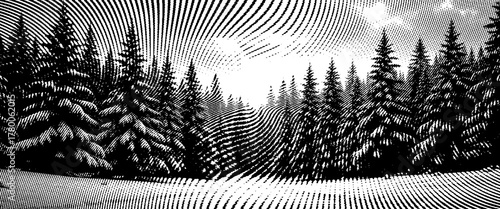 Black and white background with grass in the wind and cold winter nature landscape.