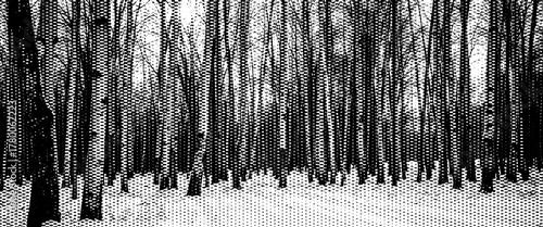 Abstract grunge black and white background with a cold winter forest scene of snow and frozen trees.