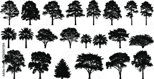Collection of different tree silhouettes, various tropical and deciduous trees vector illustration for forest design, nature art, and environmental projects