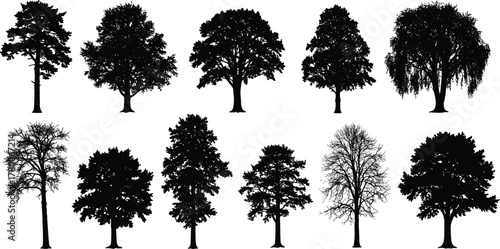 Collection of diverse tree silhouettes, black nature illustration set, forest landscape design elements, natural shapes for eco, art, and environment projects