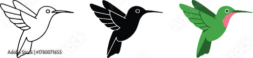 hummingbird sketch silhouette and colored vector pack for designers