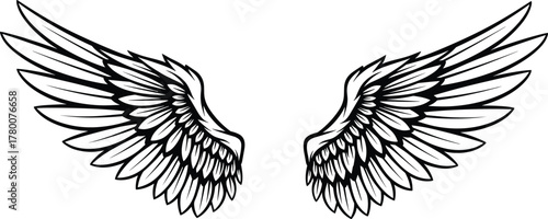 Stylized Detailed Pair of Black and White Vector Wings Illustration, Majestic Freedom Symbol Graphic, Angel or Bird Wings Design Element, Isolated Contour Outline Tattoo Art.