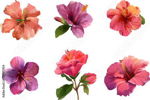 collection of flowers