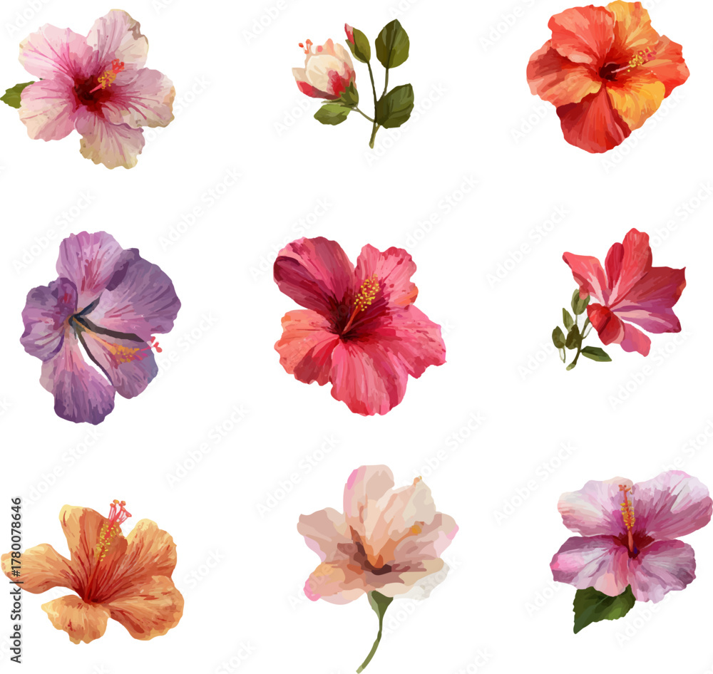 Fototapeta premium collection of flowers
