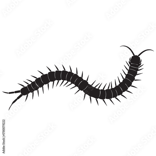 Black silhouette of a long centipede with many legs