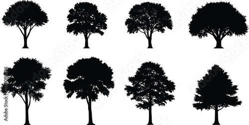 Set of detailed black tree silhouettes, natural forest shapes for eco design, landscape illustration, environment art, and nature concept