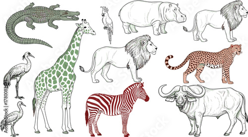 Collection of African wildlife animals including a lion, giraffe, zebra, crocodile, and elephant in a stylized illustration