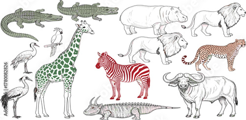 Diverse wild animal collection hand-drawn in line art style. Features safari animals and exotic wildlife, ideal for educational content and nature-themed designs