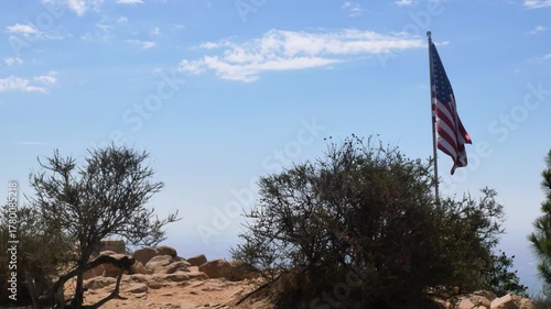 Flag of the United States of America waving on top of the hill at Wisdom Tree during a summer season in Los Angeles, California, USA