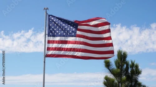 Flag of the United States of America waving on top of the hill at Wisdom Tree during a summer season in Los Angeles, California, USA