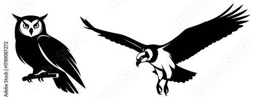 Striking illustration featuring a perched owl and soaring osprey, perfect for wildlife enthusiasts or nature-themed designs, originally scalable vector art