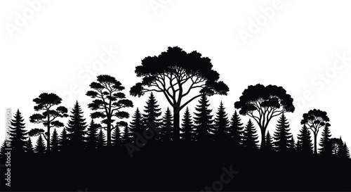 Pine Forest Silhouette Vector Illustration of Evergreen Trees Landscape