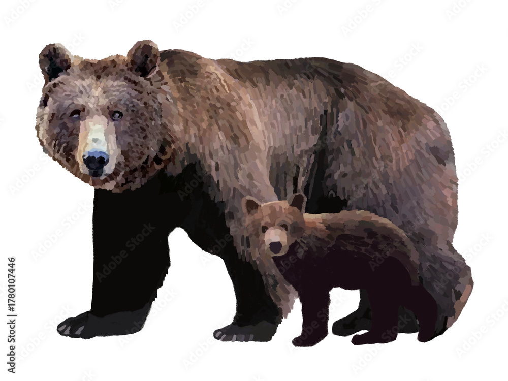 Fototapeta premium 熊(親子連れ)小熊一頭