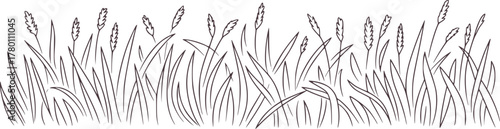 Tall grass stalks and blades line drawing nature
