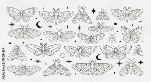 Collection of detailed line art illustrations of various moths and butterflies set against a celestial background with stars and moons