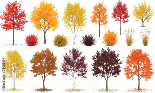 PrAutumn trees and shrubs with colorful fall foliage, seasonal landscape illustration of nature diversity, vector design for decoration and educationint