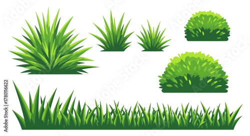 Set of green grass and bush elements