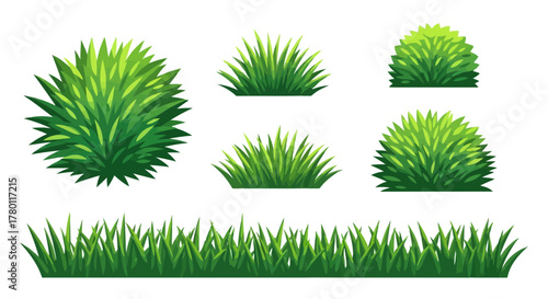 Collection of various green grass and bush elements
