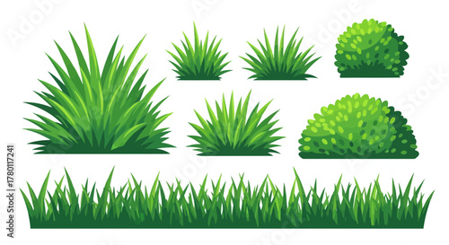 Assortment of green grass and bush elements