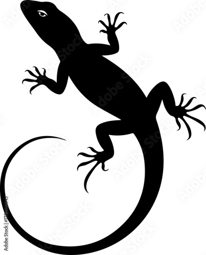A drawing of a lizard silhouette vector illustration