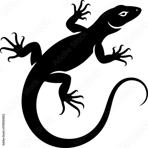 A drawing of a lizard silhouette vector illustration