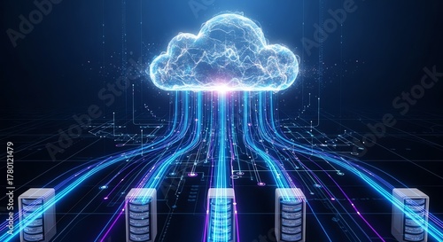 Cloud computing network with server infrastructure