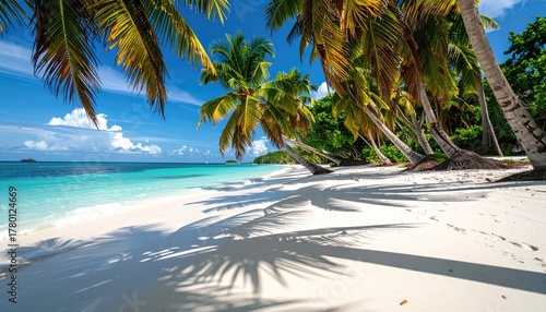 Fototapeta Naklejka Na Ścianę i Meble -  Tropical Paradise Beach Scene With White Sand Turquoise Water And Lush Palm Trees Under A Clear Blue Sky With Fluffy Clouds Casting Shadows On The Shore
