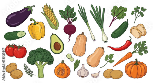 Fresh Harvest A Colorful Collection of Vegetables for Healthy Eating and Culinary Delights