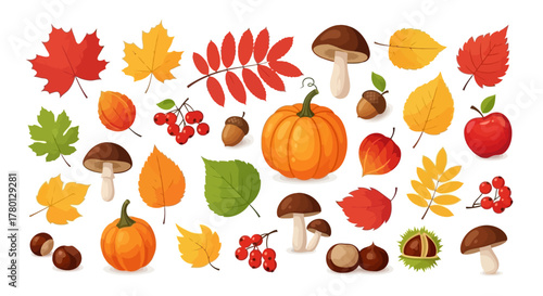 Autumn Harvest Colorful Leaves, Pumpkins, and Mushrooms Illustration