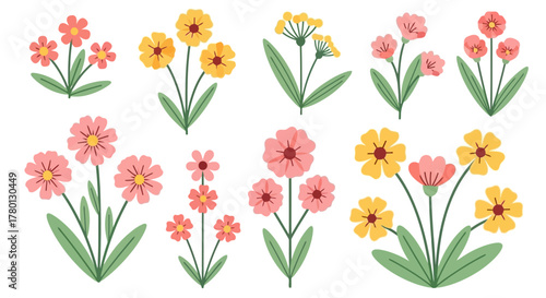 Assorted Floral Clipart Colorful Spring and Summer Flower Illustrations