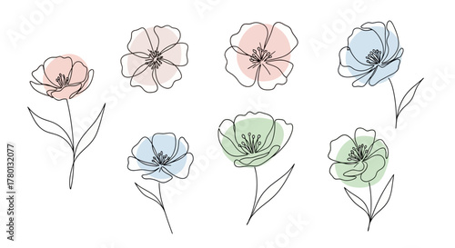 Delicate Floral Line Art Pastel Flower Blossoms
