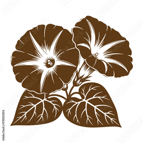 Beautiful brown morning glory flowers blooming in a vintage art style against a white background