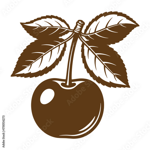 Detailed vintage art illustration of a brown cherry with leaves on a pure white background