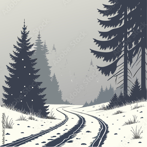 A snowy path winds through a forest of evergreen trees in winter time