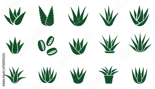 Collection of dark green aloe vera plant icons and coffee beans on white background symbol